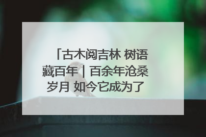 古木阅吉林 树语藏百年｜百余年沧桑岁月 如今它成为了“镇园之宝”