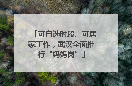 可自选时段、可居家工作，武汉全面推行“妈妈岗”
