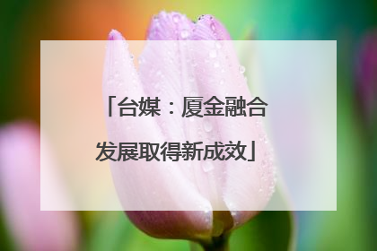 台媒：厦金融合发展取得新成效