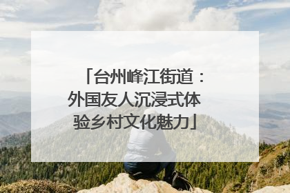 台州峰江街道：外国友人沉浸式体验乡村文化魅力