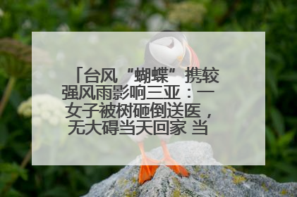 台风“蝴蝶”携较强风雨影响三亚：一女子被树砸倒送医，无大碍当天回家 当地已紧急清障