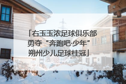 右玉玉浓足球俱乐部勇夺“奔跑吧·少年”朔州少儿足球桂冠