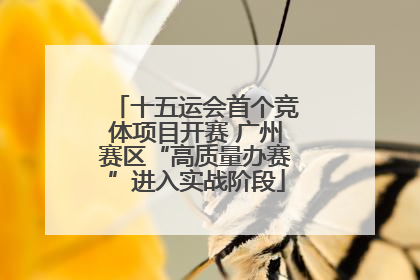 十五运会首个竞体项目开赛 广州赛区“高质量办赛”进入实战阶段