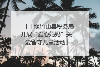 十堰竹山县税务局开展“爱心妈妈”关爱留守儿童活动