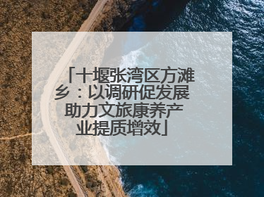 十堰张湾区方滩乡：以调研促发展 助力文旅康养产业提质增效