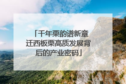 千年栗韵谱新章 迁西板栗高质发展背后的产业密码