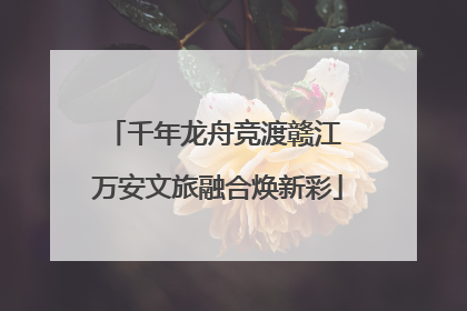 千年龙舟竞渡赣江 万安文旅融合焕新彩