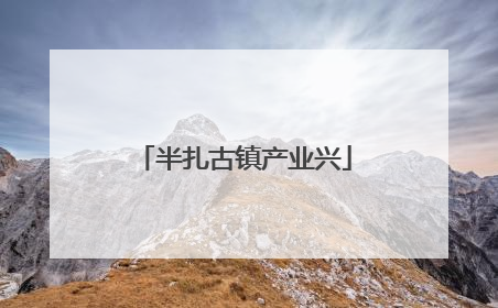 半扎古镇产业兴