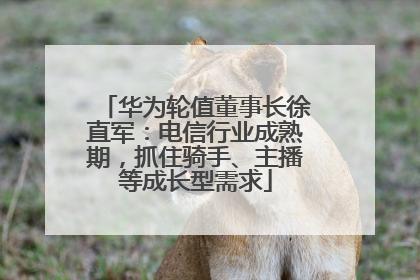 华为轮值董事长徐直军：电信行业成熟期，抓住骑手、主播等成长型需求