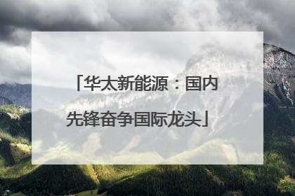 华太新能源：国内先锋奋争国际龙头