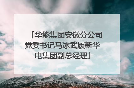 华能集团安徽分公司党委书记马冰武履新华电集团副总经理