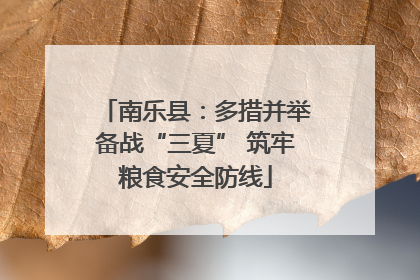 南乐县：多措并举备战“三夏” 筑牢粮食安全防线