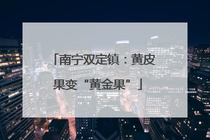 南宁双定镇：黄皮果变“黄金果”