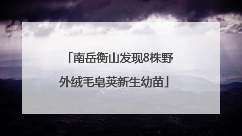 南岳衡山发现8株野外绒毛皂荚新生幼苗