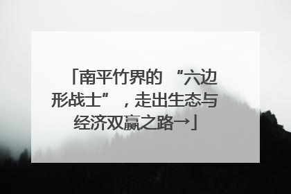 南平竹界的 “六边形战士”，走出生态与经济双赢之路→