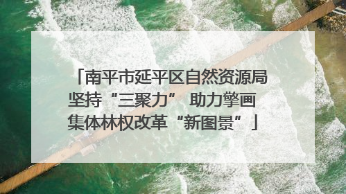 南平市延平区自然资源局坚持“三聚力” 助力擎画集体林权改革“新图景”