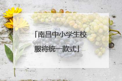 南昌中小学生校服将统一款式