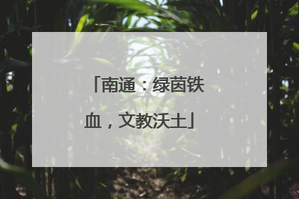 南通：绿茵铁血，文教沃土