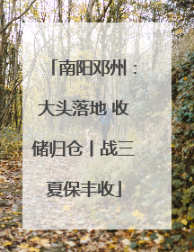 南阳邓州：大头落地 收储归仓丨战三夏保丰收