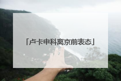卢卡申科离京前表态