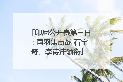 印尼公开赛第三日：国羽焦点战 石宇奇、李诗沣领衔
