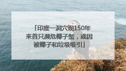 印度一洞穴现150年来首只濒危椰子蟹，或因被椰子和垃圾吸引