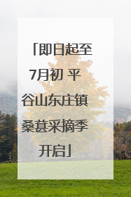 即日起至7月初 平谷山东庄镇桑葚采摘季开启