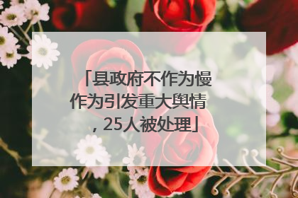 县政府不作为慢作为引发重大舆情，25人被处理