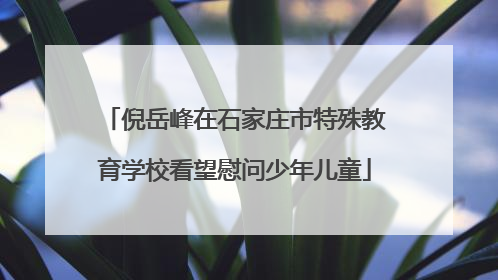 倪岳峰在石家庄市特殊教育学校看望慰问少年儿童