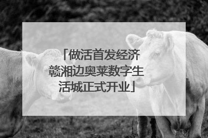 做活首发经济 赣湘边奥莱数字生活城正式开业