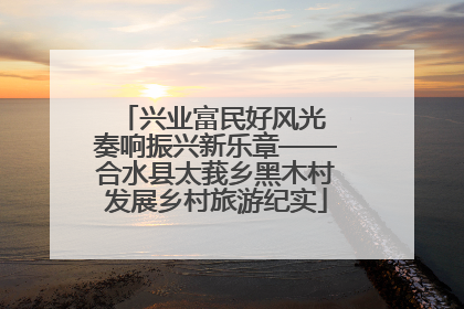 兴业富民好风光 奏响振兴新乐章——合水县太莪乡黑木村发展乡村旅游纪实