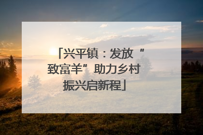 兴平镇：发放“致富羊”助力乡村振兴启新程