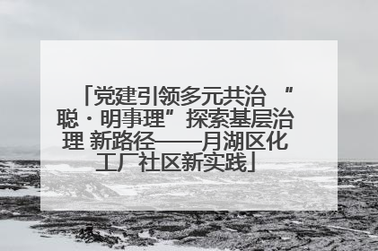 党建引领多元共治 “聪・明事理”探索基层治理 新路径——月湖区化工厂社区新实践