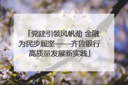 党建引领风帆劲 金融为民步履坚——齐鲁银行高质量发展新实践