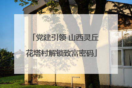 党建引领 山西灵丘花塔村解锁致富密码