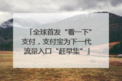 全球首发“看一下”支付，支付宝为下一代流量入口“赶早集”