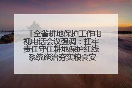 全省耕地保护工作电视电话会议强调：扛牢责任守住耕地保护红线 系统施治夯实粮食安全根基 王宁作出批示 王予波出席并讲话