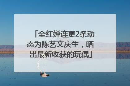 全红婵连更2条动态为陈艺文庆生，晒出最新收获的玩偶