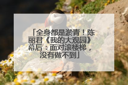 全身都是淤青！陈丽君《我的大观园》幕后：面对滚楼梯，没有做不到