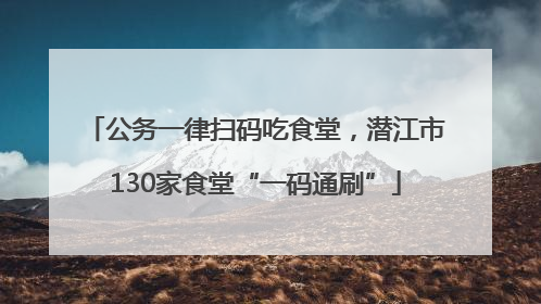 公务一律扫码吃食堂，潜江市130家食堂“一码通刷”