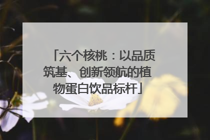 六个核桃：以品质筑基、创新领航的植物蛋白饮品标杆