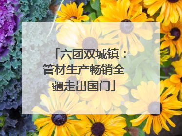 六团双城镇：管材生产畅销全疆走出国门