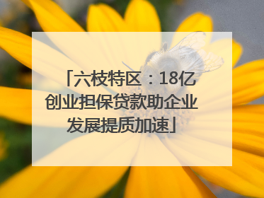 六枝特区：18亿创业担保贷款助企业发展提质加速