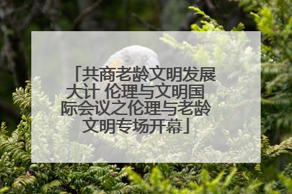 共商老龄文明发展大计 伦理与文明国际会议之伦理与老龄文明专场开幕