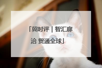 冀时评｜智汇廊洽 贸通全球