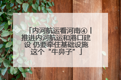 内河航运看河南④丨推进内河航运和港口建设 仍要牵住基础设施这个“牛鼻子”