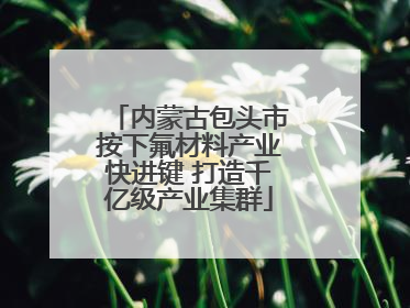 内蒙古包头市按下氟材料产业快进键 打造千亿级产业集群