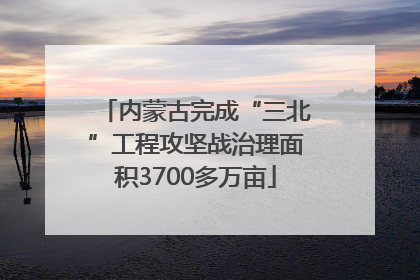 内蒙古完成“三北”工程攻坚战治理面积3700多万亩