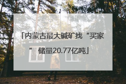 内蒙古最大碱矿找“买家” 储量20.77亿吨