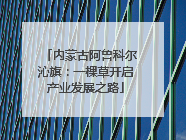 内蒙古阿鲁科尔沁旗：一棵草开启产业发展之路